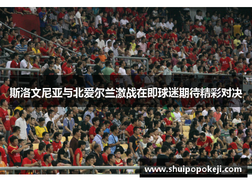 斯洛文尼亚与北爱尔兰激战在即球迷期待精彩对决